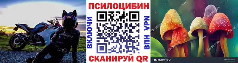 Галлюциногенные грибы Cubensis  где купить   МЕГА ссылка  Рошаль 